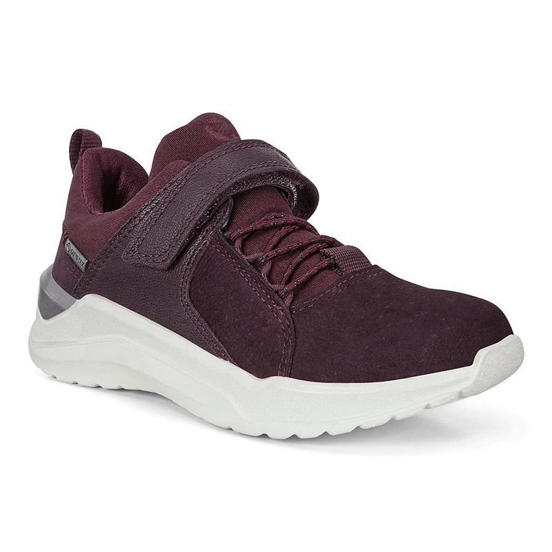 Kids Ecco Intervene - Sneakers Purple - India DURQSO698